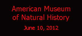 American Museum of Natural History