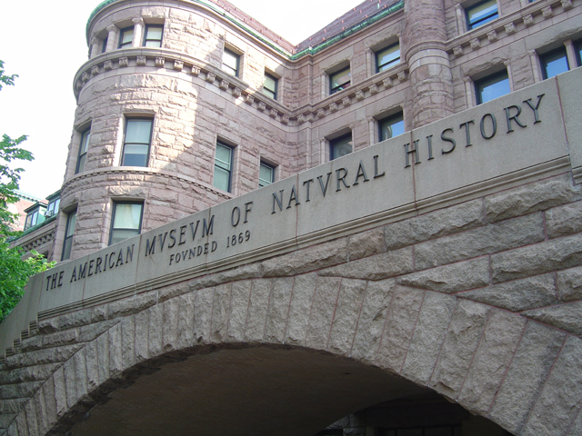 American Museum of Natural History