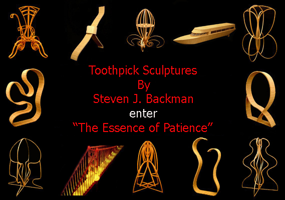 Toothpick Sculptures By Steven J. Backman-The Essence of Patience