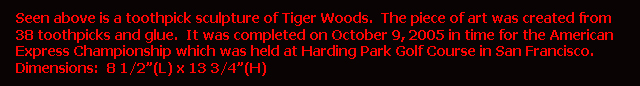 Tiger Woods